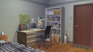 tsukumonogatari main characters room